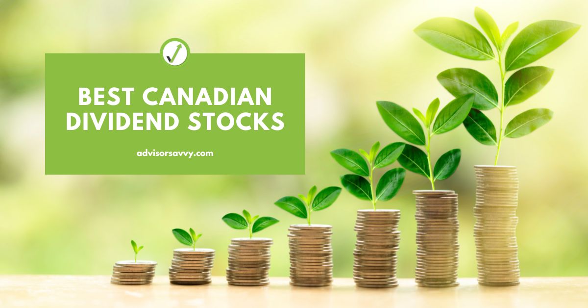 Best Canadian Dividend Stocks for 2024