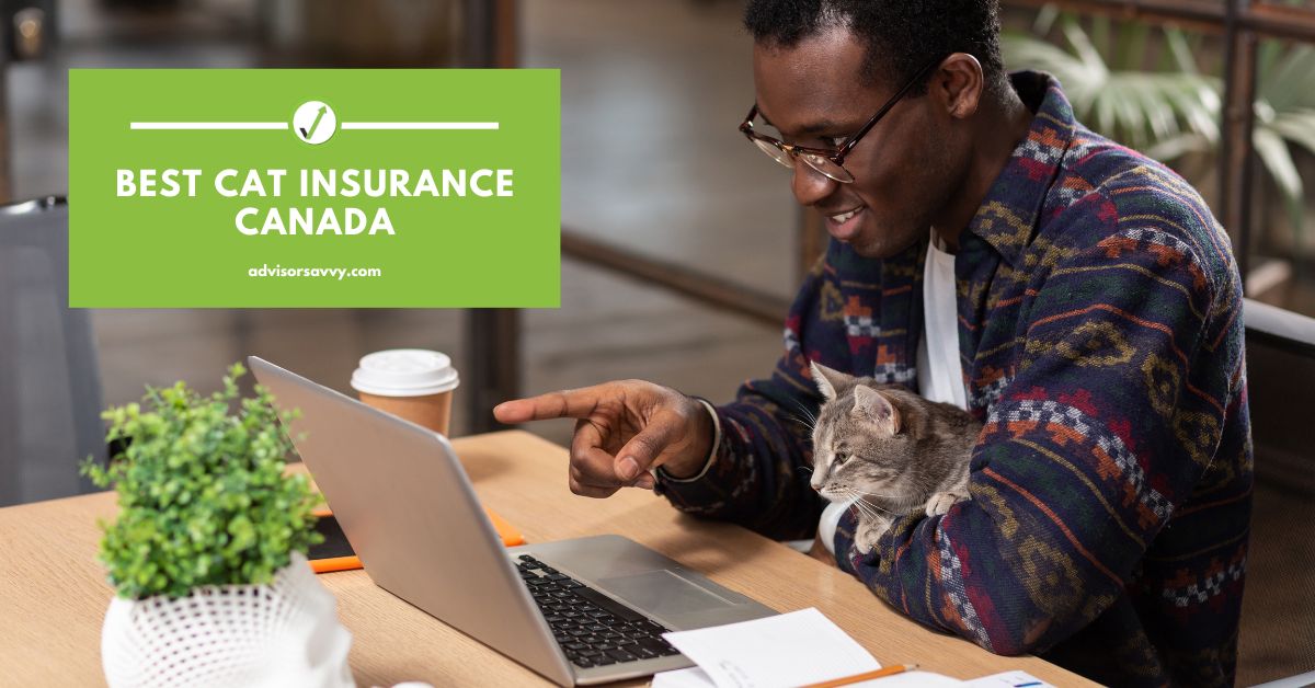 Best Cat Insurance Canada