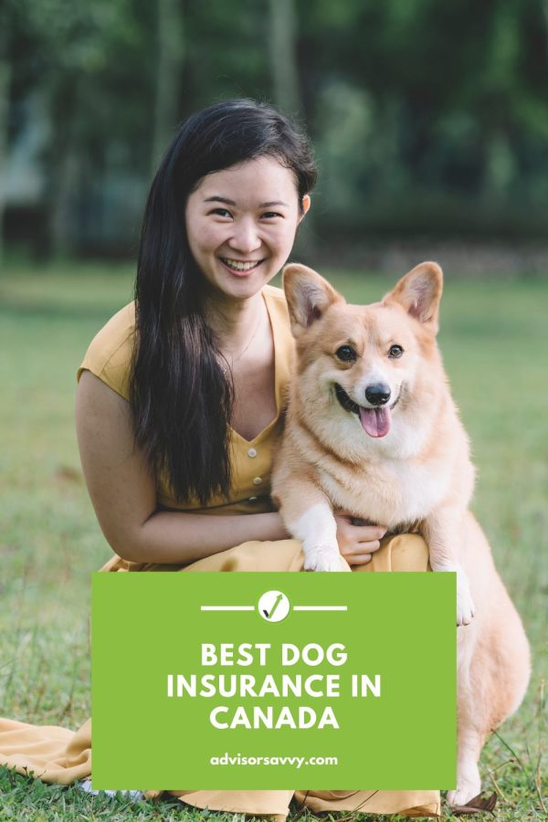 Advisorsavvy Best Dog Insurance in Canada