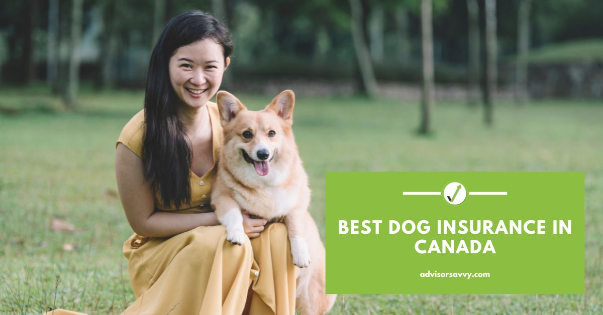 Best Dog Insurance in Canada