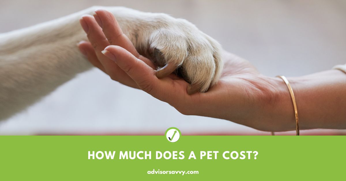 how much does a pet cost